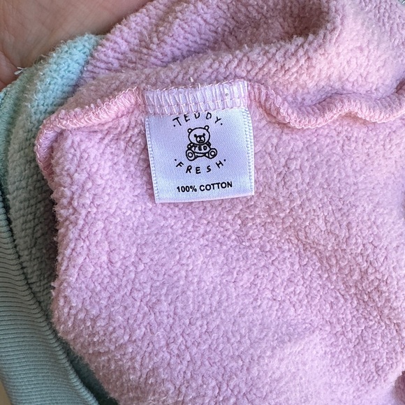 Teddy Fresh Mint, Cream, and Pink Colorblock Hoodie - Picture 7 of 7